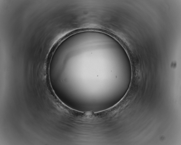 X0000098101364200804041234