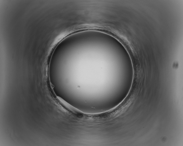 X0000098101365200804041234