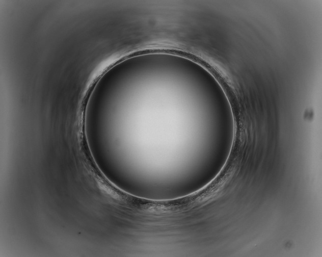 X0000098101366200804041234