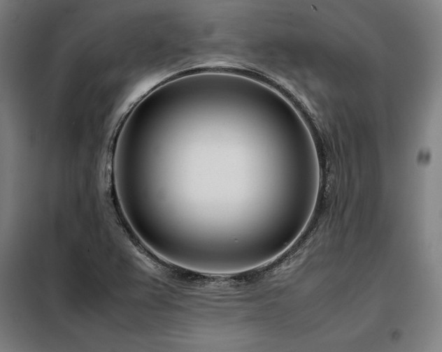 X0000098101367200804041234
