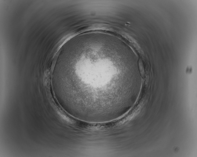X0000098101369200804041234