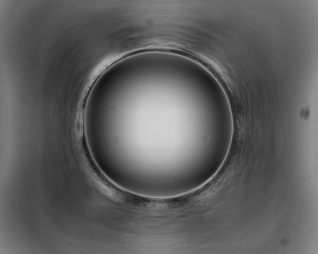 X0000098101371200804041234