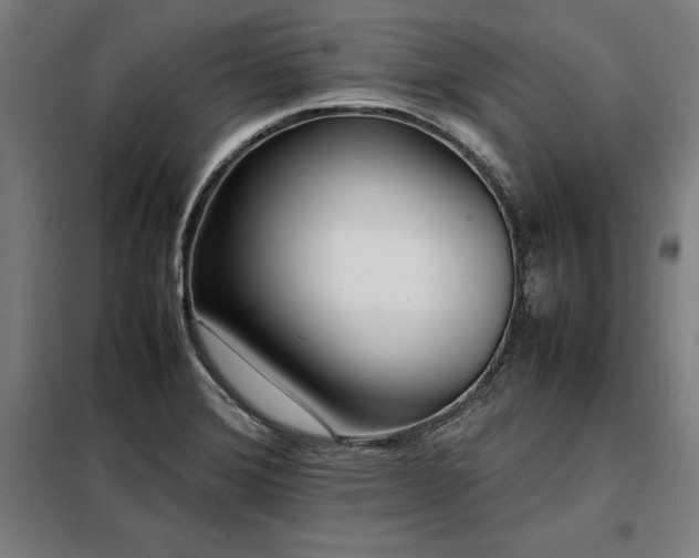X0000098101372200804041234