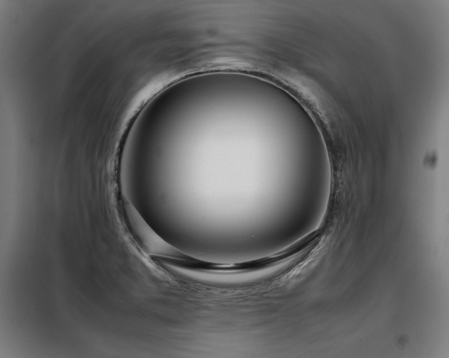 X0000098101373200804041234