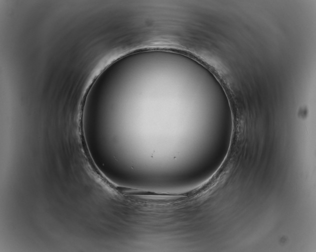X0000098101374200804041234