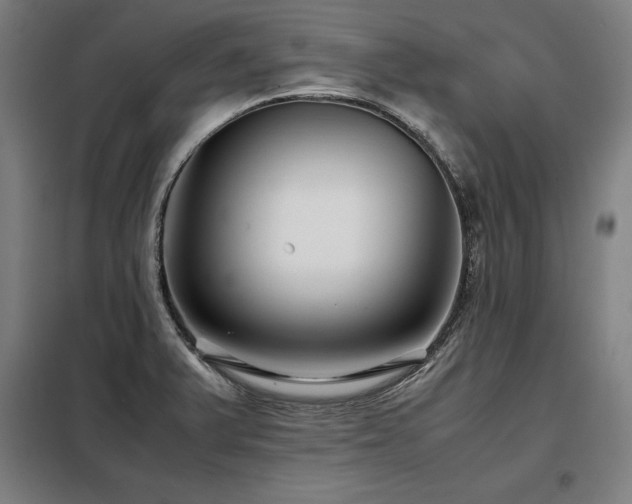 X0000098101375200804041234