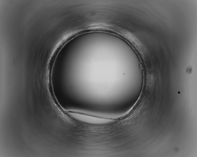 X0000098101376200804041234