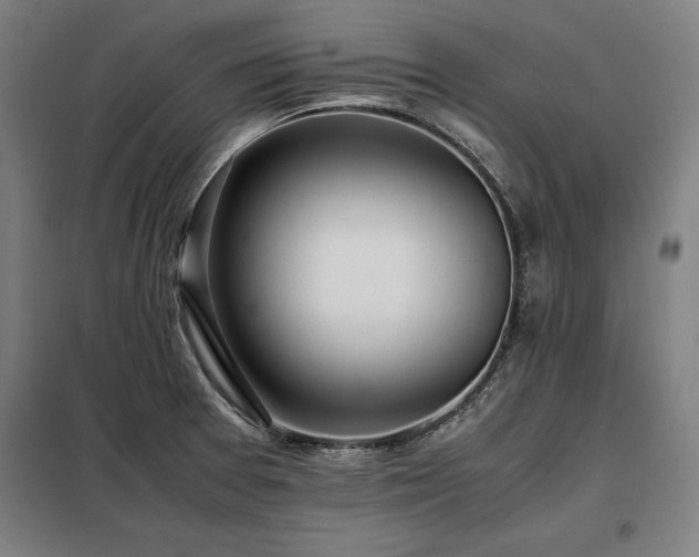 X0000098101377200804041234