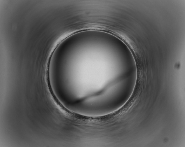X0000098101379200804041234
