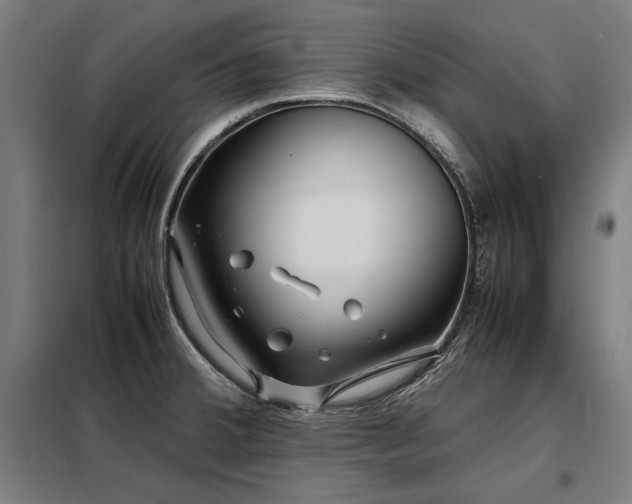 X0000098101380200804041234