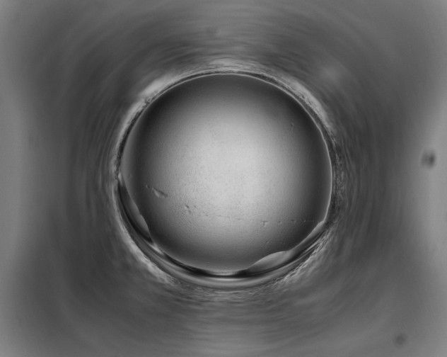 X0000098101381200804041234