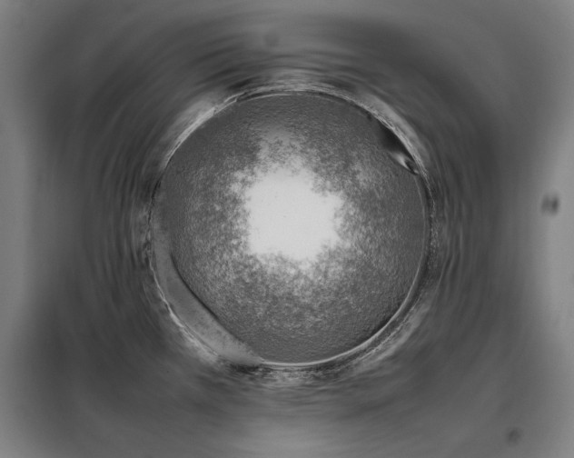 X0000098101385200804041233
