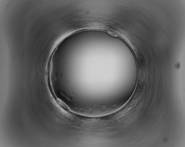 X0000098101387200804041233