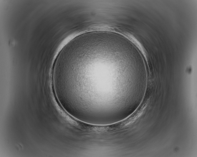 X0000098101389200804041233
