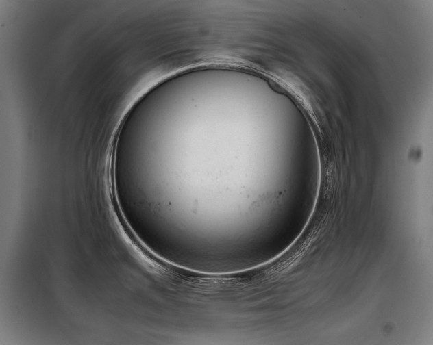 X0000098101391200804041233