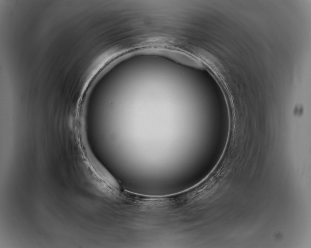 X0000098101392200804041233