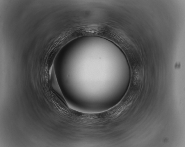 X0000098101394200804041233