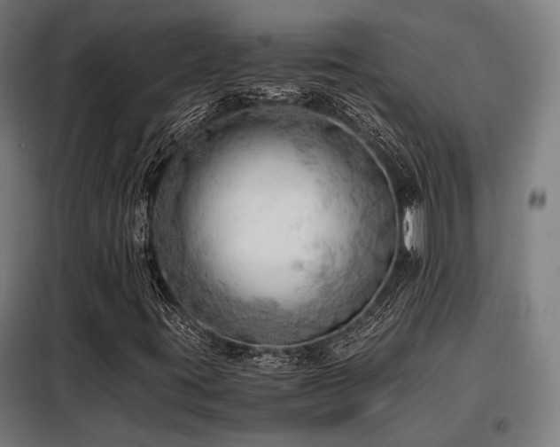 X0000098101395200804041233