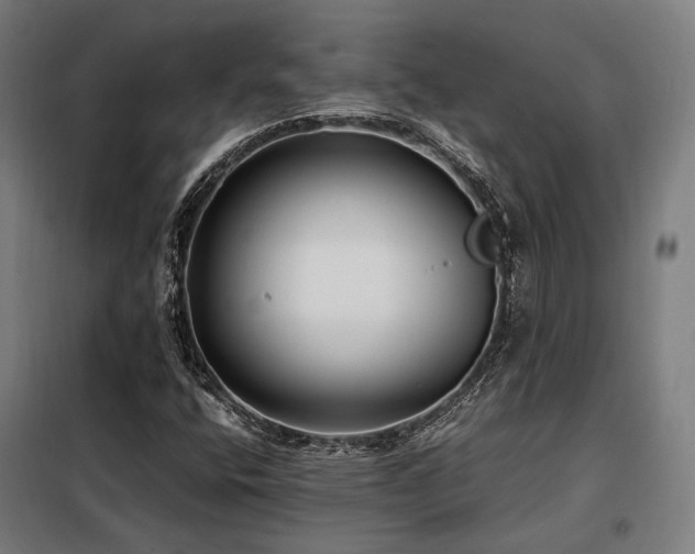 X0000098101400200804041233