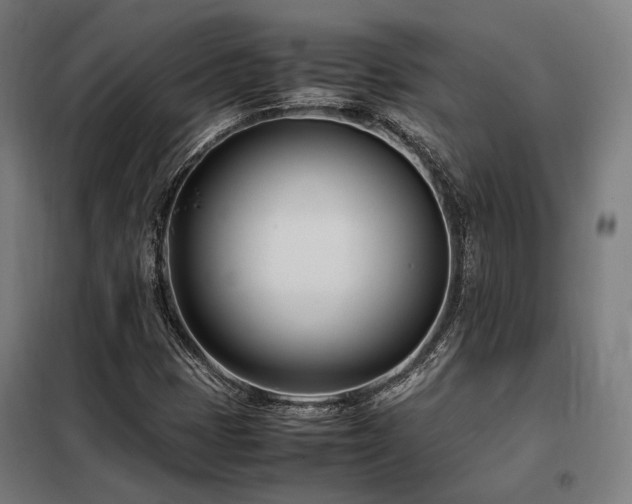 X0000098101401200804041233