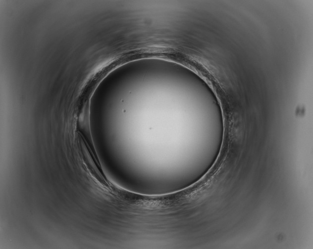 X0000098101402200804041233