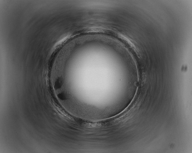 X0000098101403200804041233