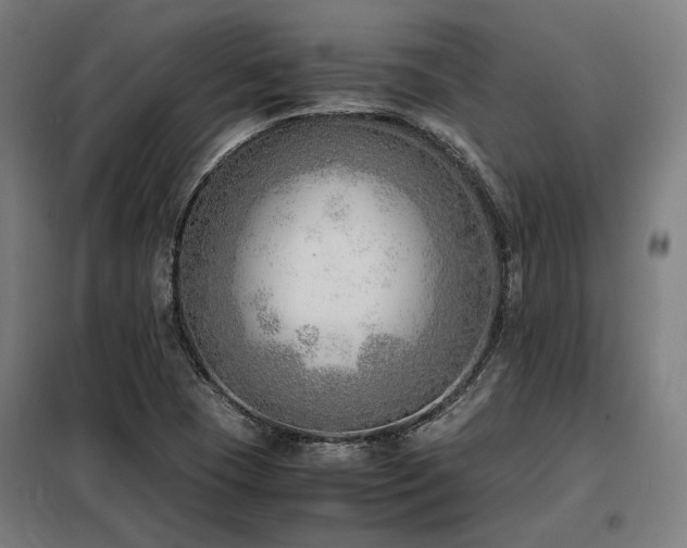 X0000098101409200804041233