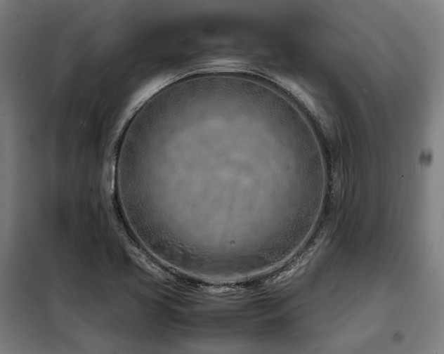 X0000098101413200804041233