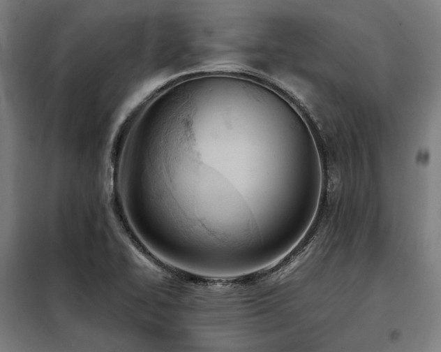 X0000098101414200804041233