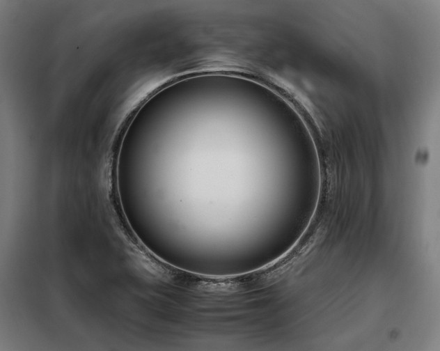 X0000098101415200804041233