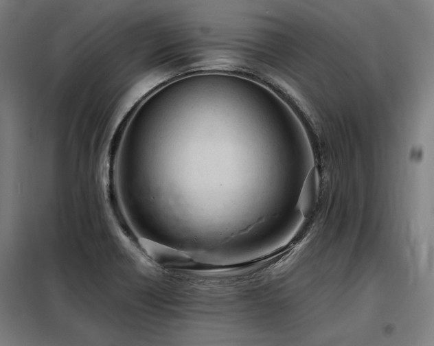 X0000098101418200804041233