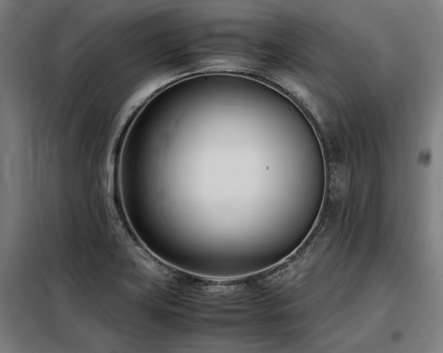 X0000098101419200804041233