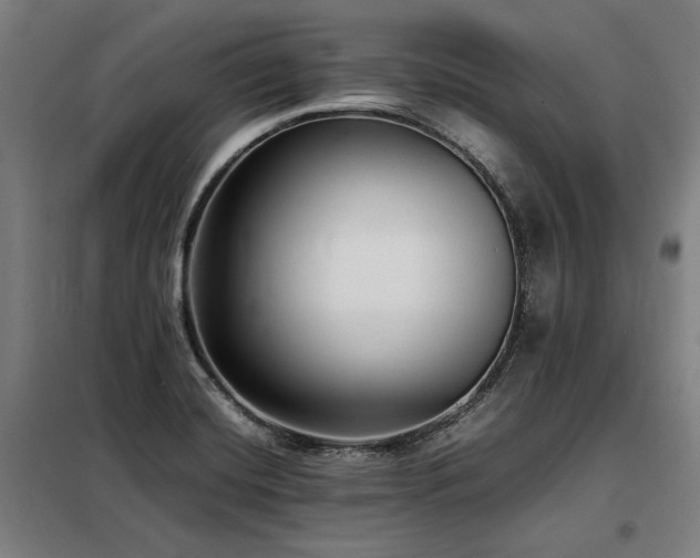 X0000098101420200804041233