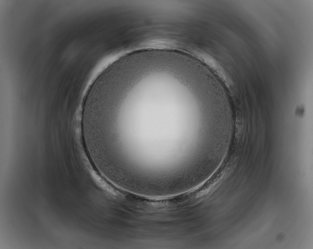 X0000098101421200804041233
