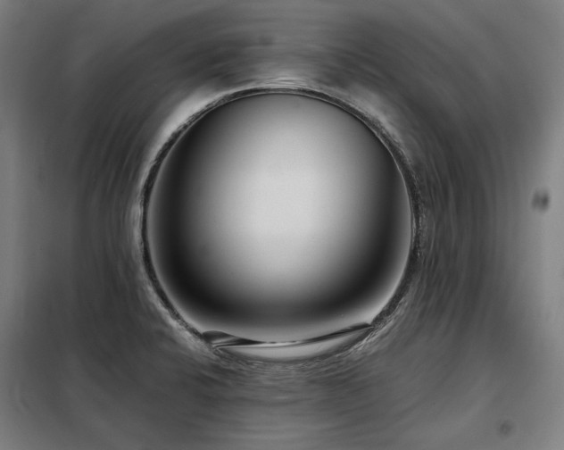 X0000098101424200804041233