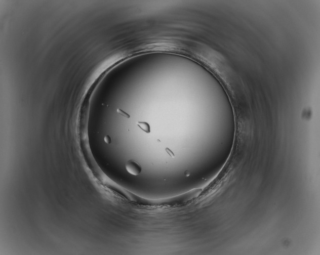 X0000098101426200804041233