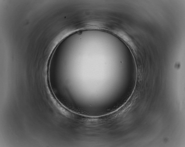 X0000098101431200804041233