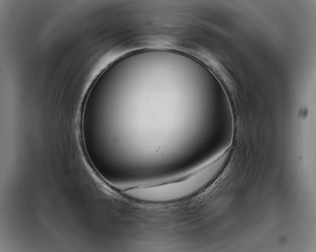X0000098101432200804041233