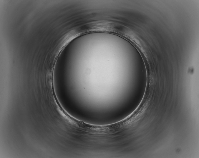 X0000098101433200804041233