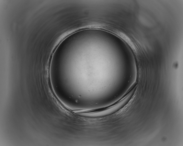 X0000098101436200804041233