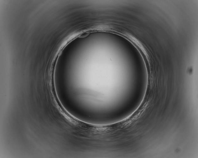 X0000098101437200804041233