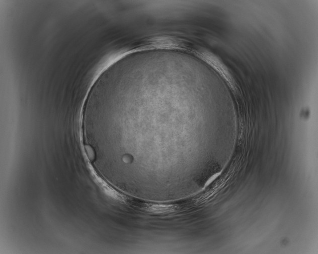 X0000098101439200804041233