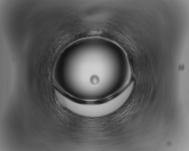 X0000098101441200804041233