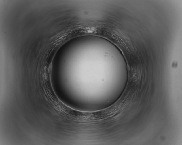 X0000098101442200804041233