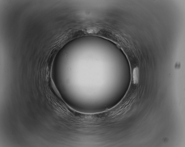 X0000098101443200804041232