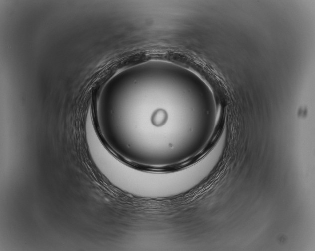 X0000098101445200804041232