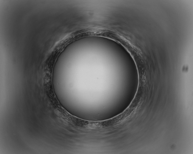 X0000098101447200804041232