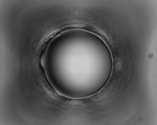 X0000098101448200804041232