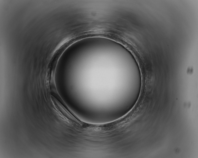 X0000098101450200804041232