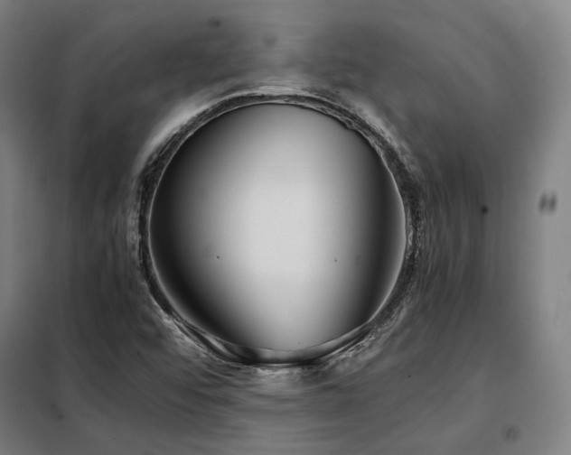 X0000098101456200804041232